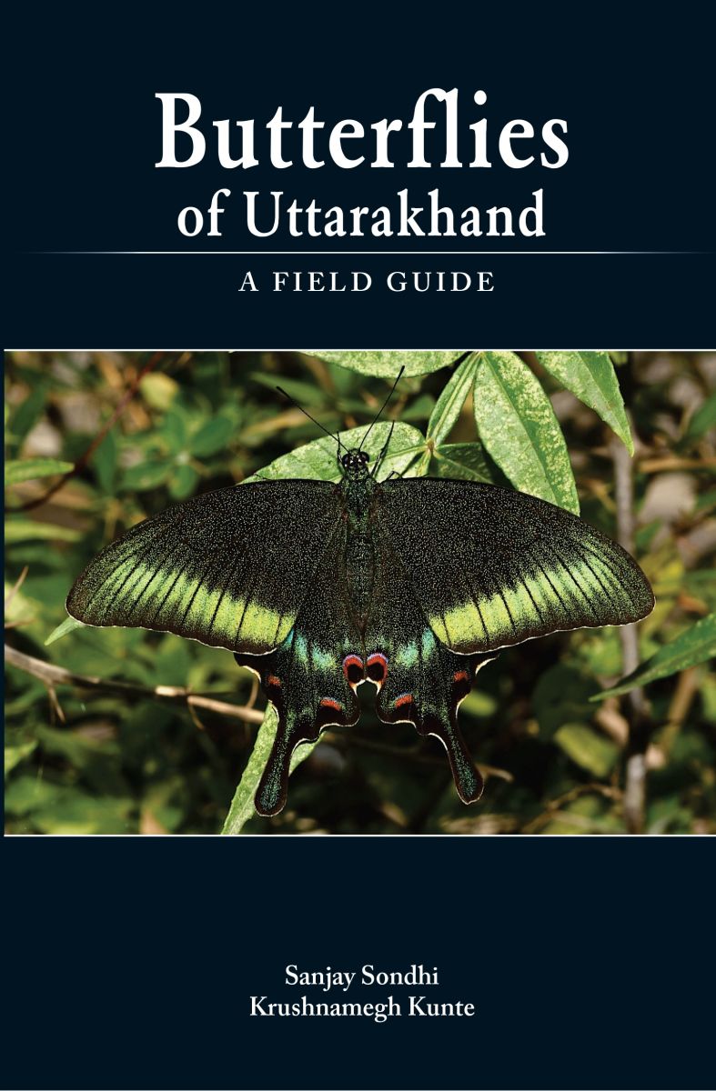 Butterflies of Uttarakhand cover