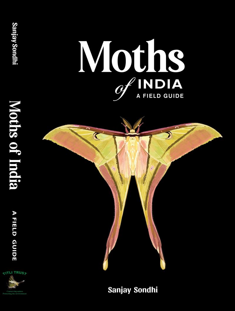 Moths of India Cover final print-1