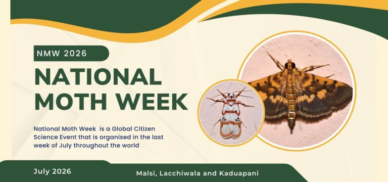 National Moth Week