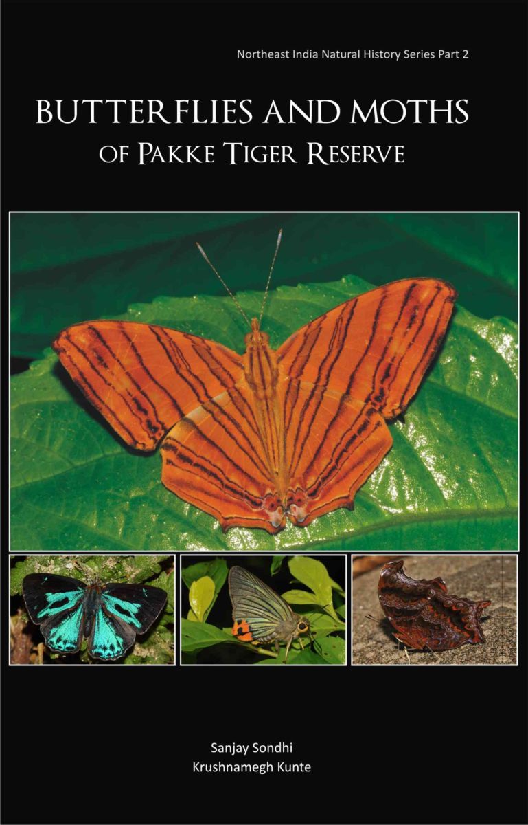 Pakke Butterfly book cover page 1st edition