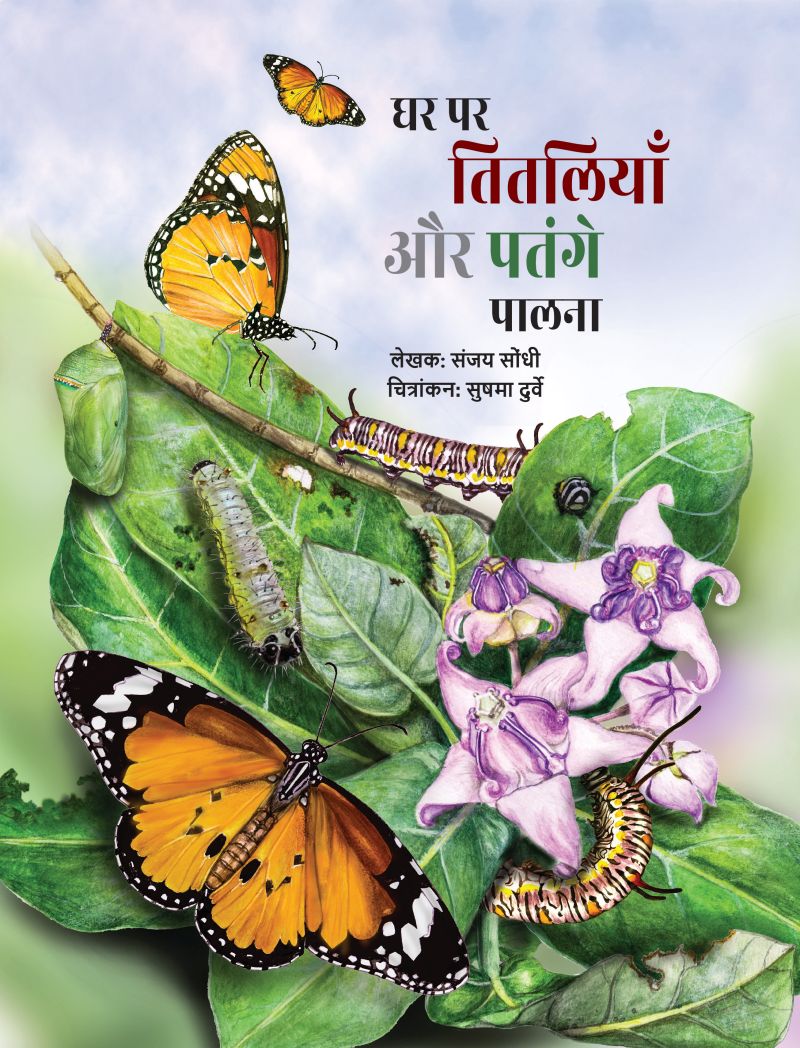 Rearing Butterflies and Moths Cover Hindi